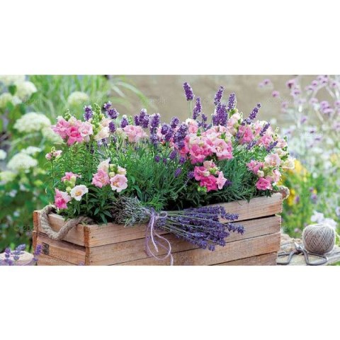 Kalendarz ścienny notatnikowy 2024 KOMPOZYCJA KWIATOWE 220mm x 490mm Lucrum (WN02)