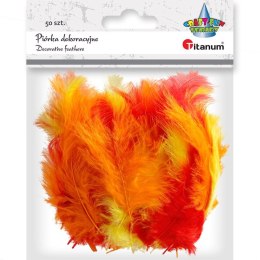 Piórka Craft-Fun Series mix 50 szt Titanum (210039)