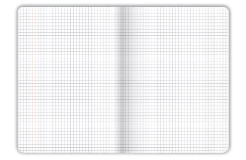 Zeszyt UNNATURAL LANDSCAPE A5 32k. 70g krata Top 2000 (400181615)