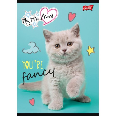 Zeszyt MY LITTLE FRIEND A5 32k. krata Unipap