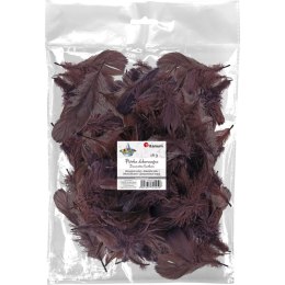 Piórka Craft-Fun Series brązowy Titanum