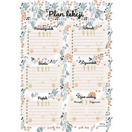 Plan lekcji koty Henry (5905701482566)