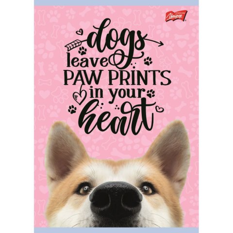 Zeszyt A4 mix dla dziewczynek 32k. linia Unipap