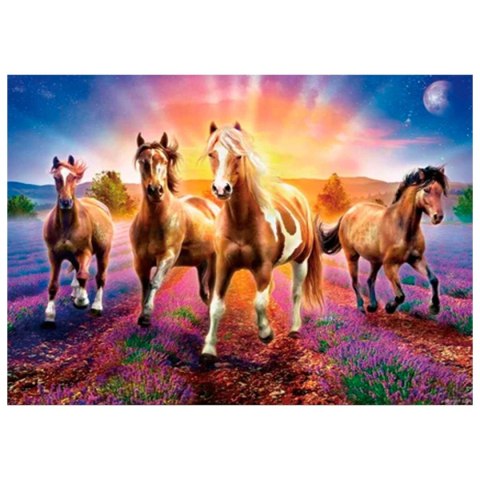 Zestaw kreatywny Diamentowa mozaika 30x40cm Konie 5 Flamingo Line (TG2265-05)