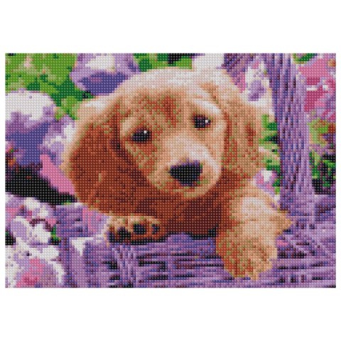 Zestaw kreatywny Diamentowa mozaika 30x40cm Pies Flamingo Line (TMF20876)