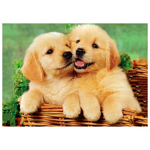 Zestaw kreatywny Diamentowa mozaika 30x40cm Psy 2 Flamingo Line (TYAB26269)