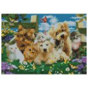 Zestaw kreatywny Diamentowa mozaika 30x40cm Psy i koty Flamingo Line (TBS01371-02(22))