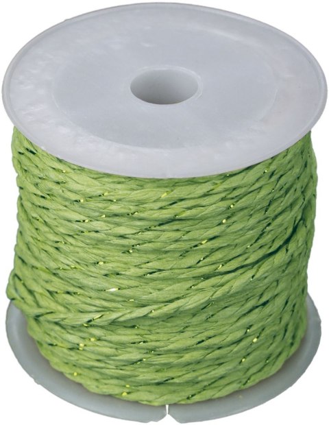 Sznurek Craft-Fun Series papierowy 10m Titanum (24BR0201-15（green))