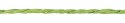 Sznurek Craft-Fun Series papierowy 10m Titanum (24BR0201-15（green))