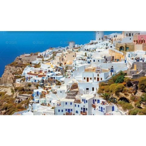 Kalendarz ścienny NOTATNIKOWY KOMPOZYCJE KWIATOWE 220mm x 490mm Lucrum (WN02)