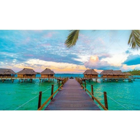 Kalendarz ścienny NOTATNIKOWY KOMPOZYCJE KWIATOWE 220mm x 490mm Lucrum (WN02)