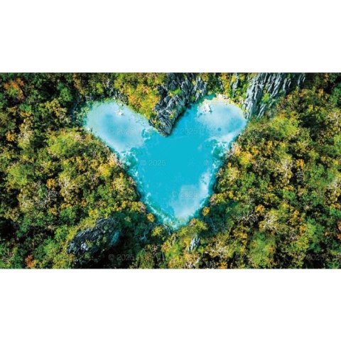 Kalendarz ścienny NOTATNIKOWY KOMPOZYCJE KWIATOWE 220mm x 490mm Lucrum (WN02)