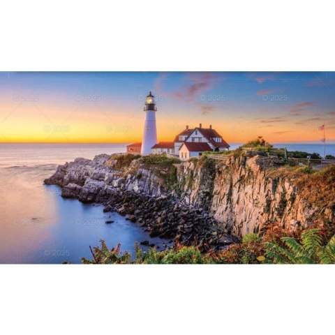 Kalendarz ścienny NOTATNIKOWY KOMPOZYCJE KWIATOWE 220mm x 490mm Lucrum (WN02)