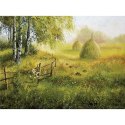 Kalendarz ścienny POLSKA W PRZYRODZIE Lucrum WIELOPLANSZOWY 12K 320mm x 470mm (RW8)