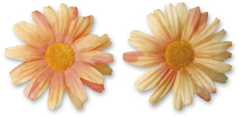 Ozdoba materiałowa Craft-Fun Series margerytki 4 szt. Titanum (D-TZW-230605A)