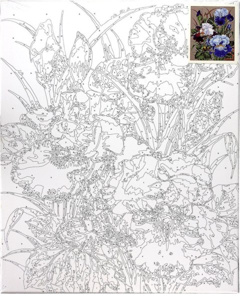 Zestaw kreatywny Malowanie po numerach 40x50cm Irysy Flamingo Line (FYS174)