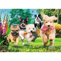Puzzle Premium Plus Nadchodzą kłopoty 1000 el. Trefl (10800)