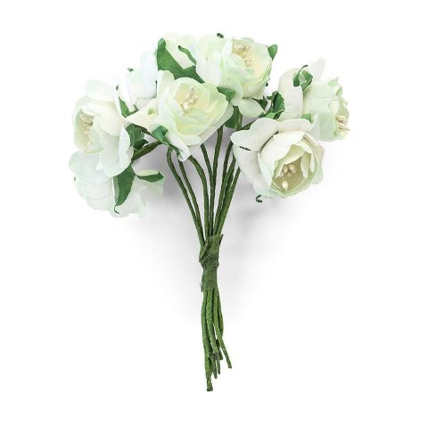 Kwiaty bukiecik Dalie błękitne, 8 szt. Argo (252045)