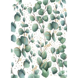 Kartka składana KARNET B8 eukaliptus Henry (5905701484232)