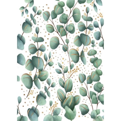 Kartka składana KARNET B8 eukaliptus Henry (5905701484232)