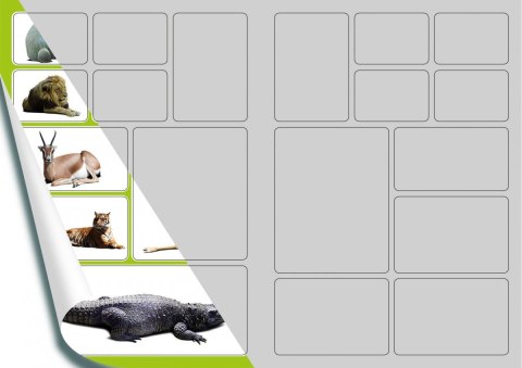 Kolorowanka Dzikie Zwierzęta