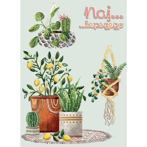 Kartka składana KARNET B6 KWIATY DONICZKOWE B6 Henry (5905701484157)