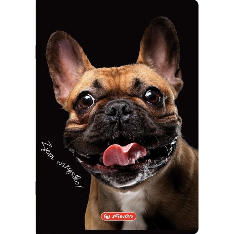 Zeszyt Crazy Animal A5 60k. 70g linia Herlitz (400196838)