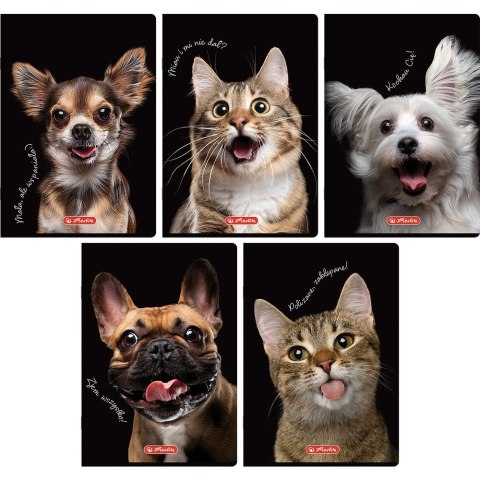 Zeszyt Crazy Animal A5 80k. 70g krata Herlitz (400196839)