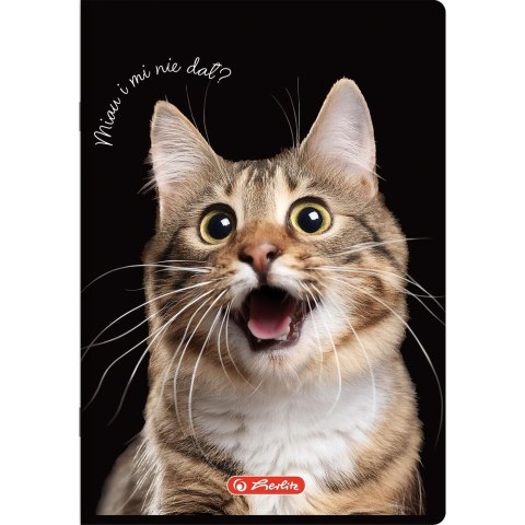 Zeszyt Crazy Animal A5 80k. 70g krata Herlitz (400196839)