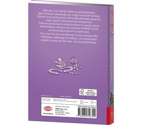 Książka dla dzieci HORSE CLUB. Niesamowity jeździec Ameet (CBH 8401)