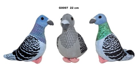 Pluszak gołąb [mm:] 220 Sun-Day (168054)