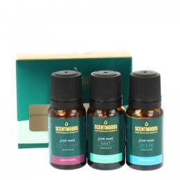 Świeczka ozdobna Zestaw olejków zapachowych Fresh Mood Pavoncella (8716516202525)