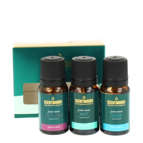 Świeczka ozdobna Zestaw olejków zapachowych Fresh Mood Pavoncella (8716516202525)