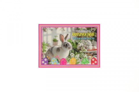 Kartka składana A6 Enzo (C WN)