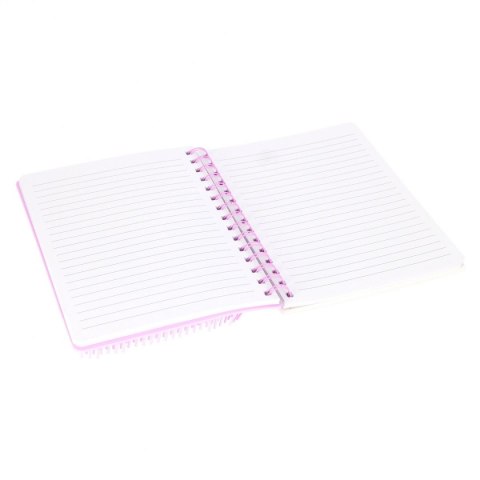 Kołozeszyt (kołonotatnik) Leniwiec A5 Starpak (553738)