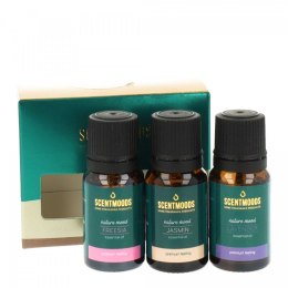 Świeczka ozdobna Zestaw olejków zapachowych Nature Mood Pavoncella (8716516202549)
