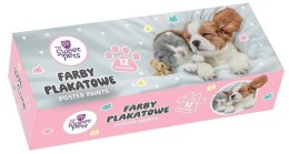 Farby plakatowe The Sweet Pets kolor: mix 20ml 12 kolor. Beniamin (2266)