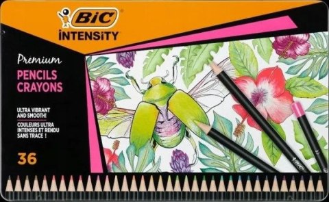 Kredki ołówkowe Intensity Premium 36 kol. Bic Kids (829029)