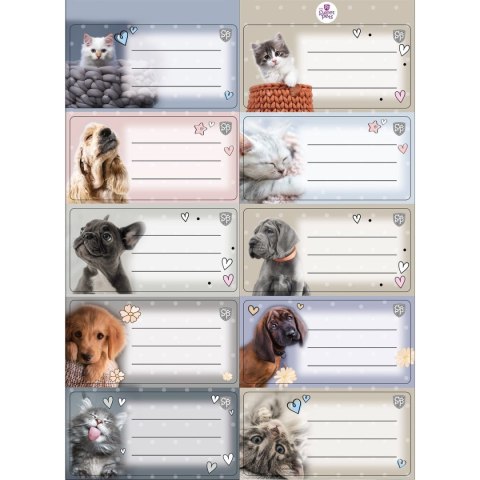 Naklejka (nalepka) Beniamin (606590)