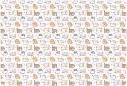 Podkład na biurko KITTENS mix PVC PCW Biurfol (PSN-A3-35)