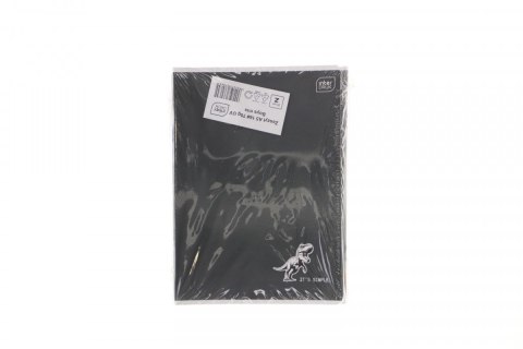 Zeszyt BOYS mix A5 60k. 70g krata Interdruk (5902277366306)