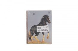 Zeszyt GIRLS A5 32k. 70g linia kolor Interdruk