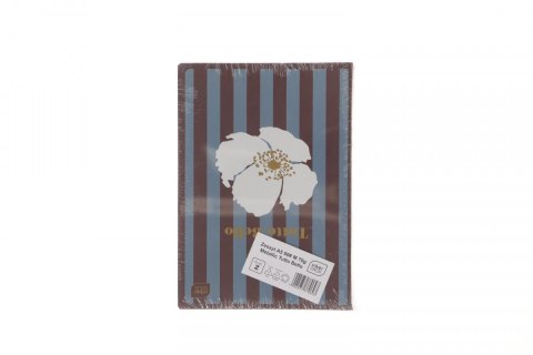 Zeszyt METALIC TUTTO BELLO A5 32k. 70g krata Interdruk