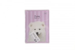 Zeszyt PUPPY SIGN A5 32k. 70g linia kolor Interdruk