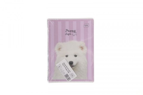 Zeszyt PUPPY SIGN A5 32k. 70g linia kolor Interdruk