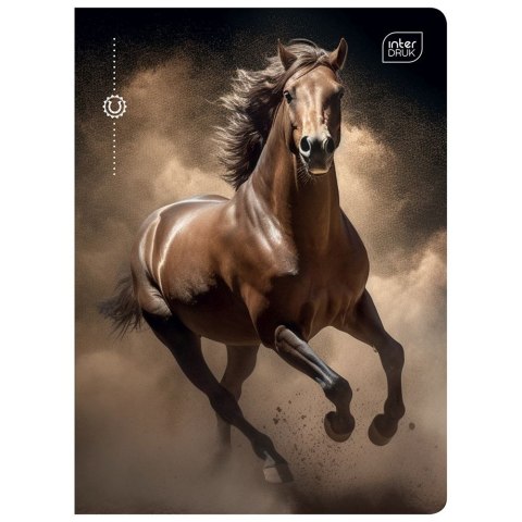 Zeszyt A5 16k. 70g krata Interdruk (ZE16KFK)