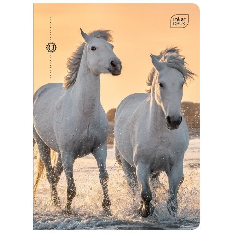 Zeszyt A5 16k. 70g krata Interdruk (ZE16KFK)