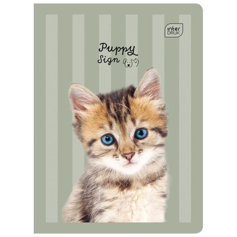 Zeszyt A5 16k. 70g linia kolor Interdruk