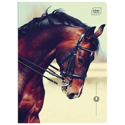 Zeszyt A5 16k. 70g trzy linie Interdruk