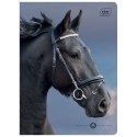 Zeszyt WILD HORSES A5 32k. 70g krata Interdruk